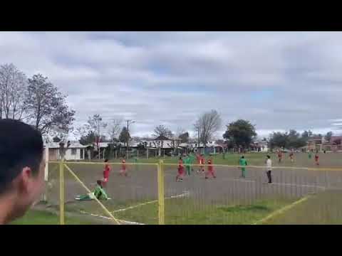 Perro hace gol en Chillán, chile