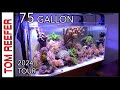 Reef tank 75 gallon  tank tour 2024  set up tips 