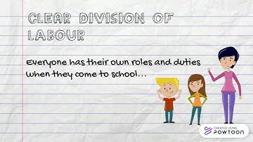 Bureaucratic Organizations