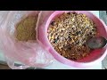 Рыбий жир,рыбная мука для голубей.Fish oil, fish meal for pigeons.Useful tips for pigeons.