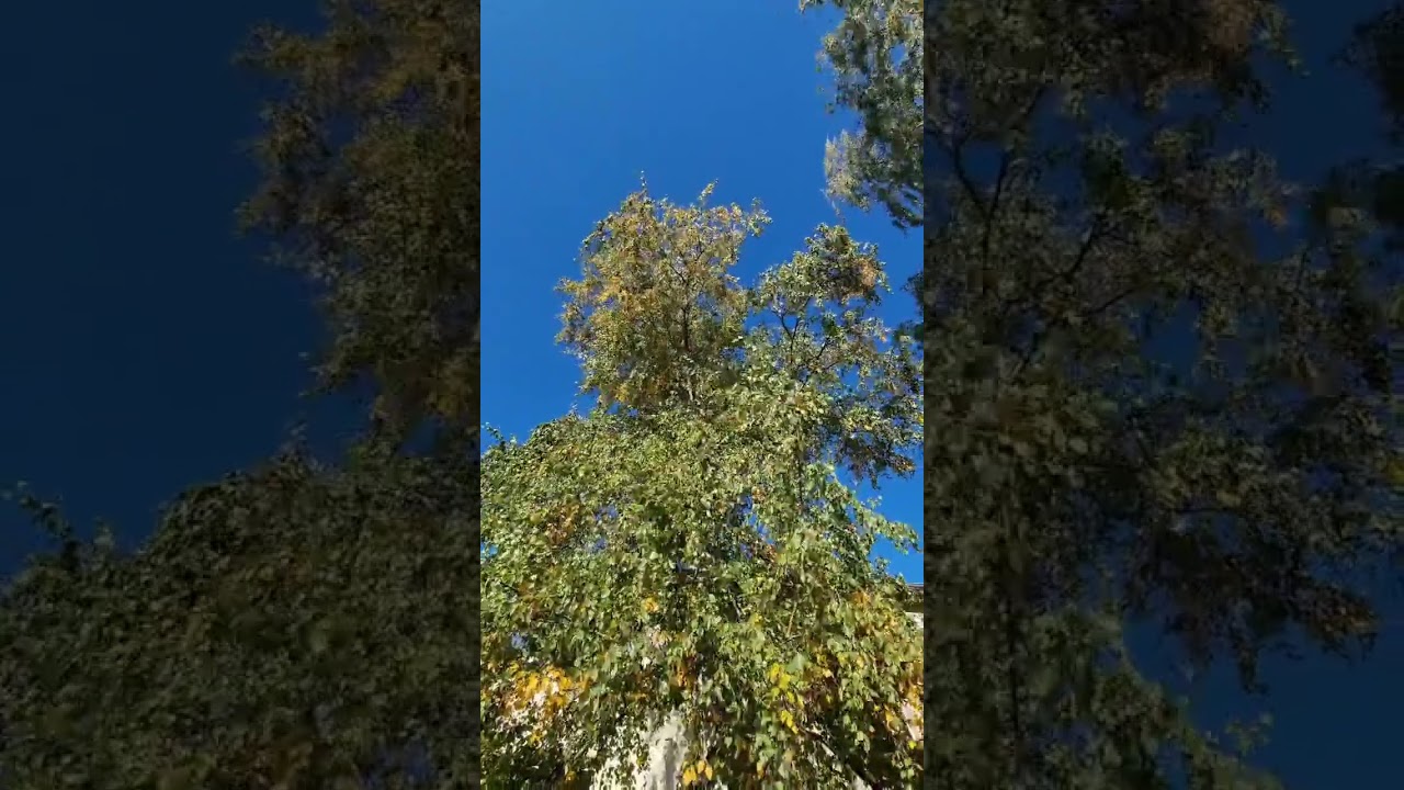 Sky & Nature 🏞️