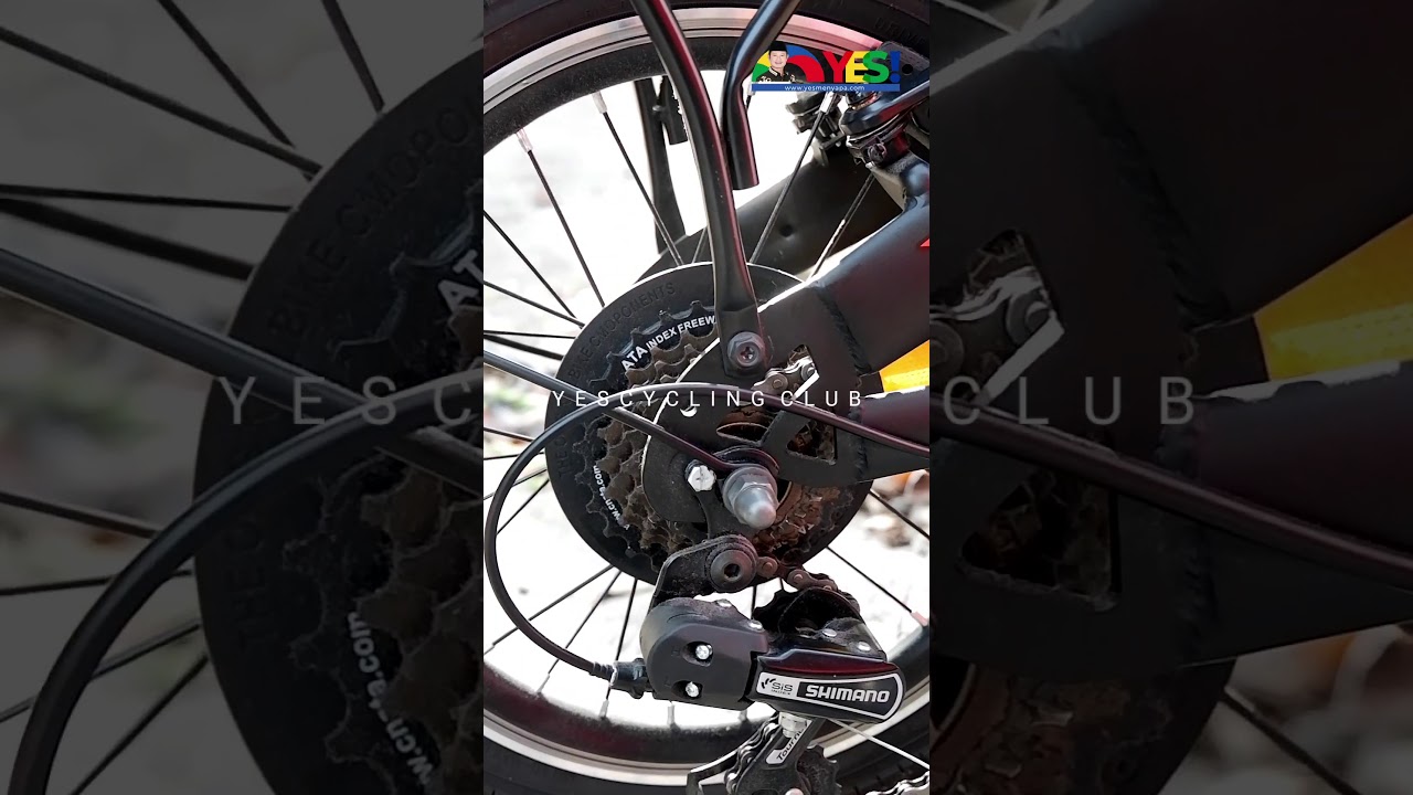 Gowes bareng YES CYCLING CLUB Lamongan