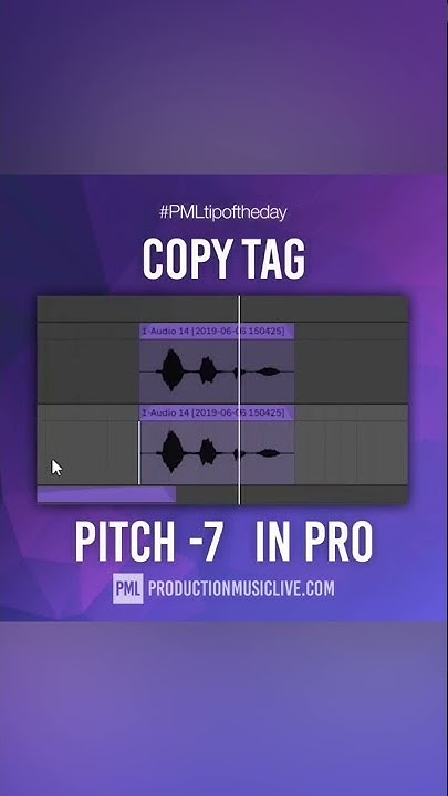 ableton-tutorial-how-to-make-producer-tag-shorts-youtube