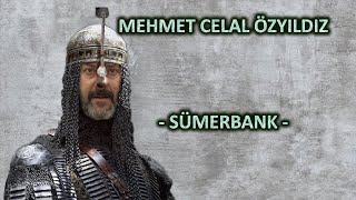 Mehmet Celal Özyıldız - Sümerbank