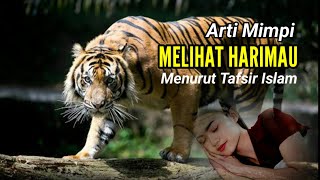 Arti Mimpi MELIHAT HARIMAU Menurut Kitab Tafsirul Ahlam An Nabulisi