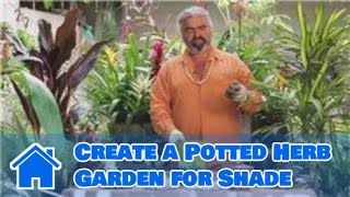 Gardening Help : How to Create a Potted Herb Garden for Shade