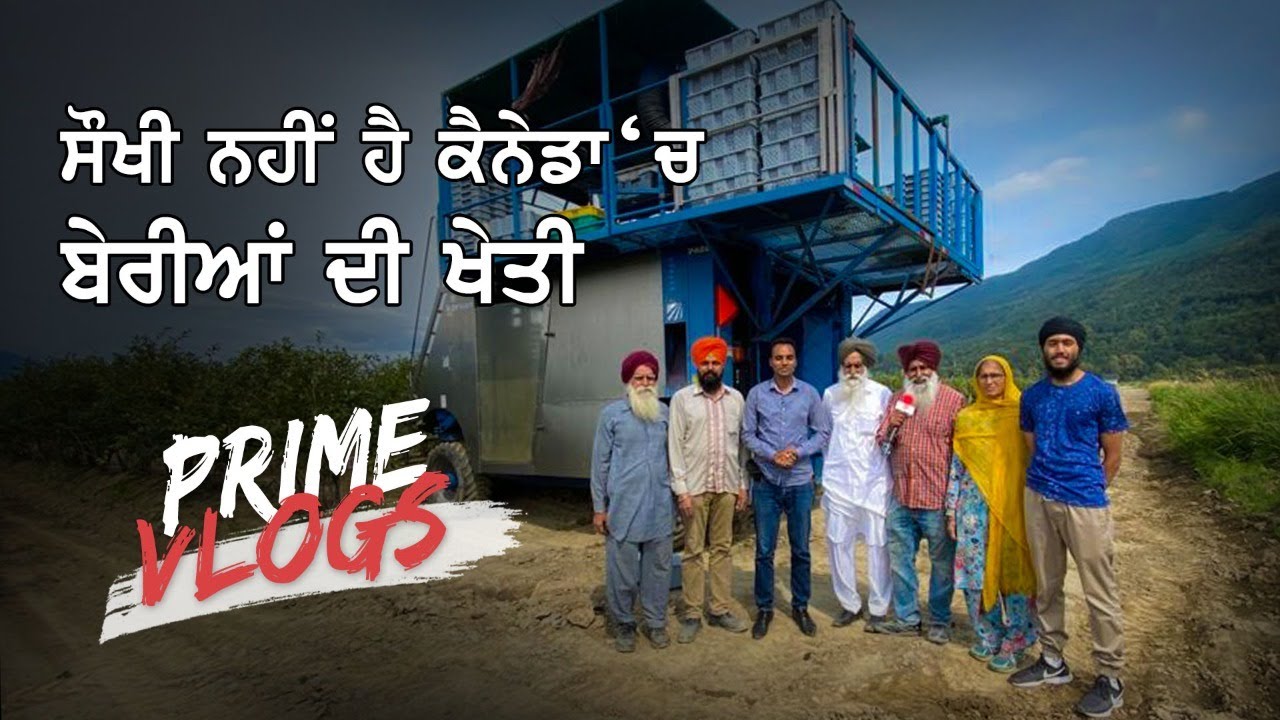 Prime Vlogs (2) || ਸੌਖੀ ਨਹੀਂ ਹੈ ਕੈਨੇਡਾ ‘ਚ ਬੇਰੀਆਂ ਦੀ ਖੇਤੀ (4K Video)