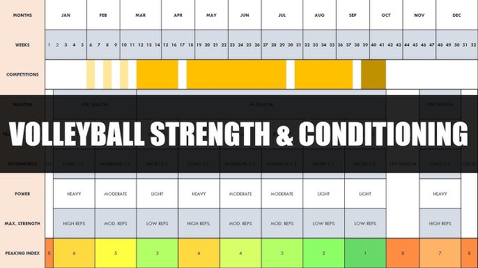 Strength Training For Volleyball You