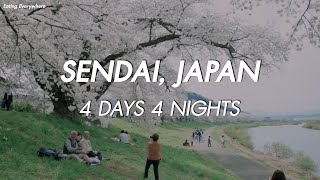 JAPAN VLOG #SENDAI | 4 DAYS Itinerary l Sakura season l EATING EVERYWHERE