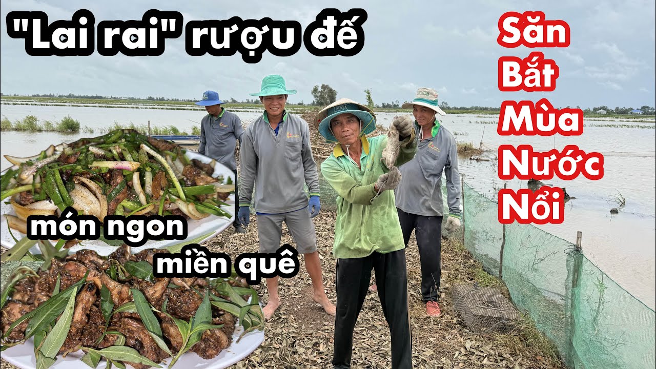 Nước Lên Nhiều Đi Săn Trúng Đậm • Chuột Đồng 2 Món 