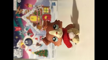 Lps Advent Calendar from Hasbro