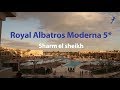 Лучшее видео про Египет отель Royal Albatros Moderna Egypt Sharm el sheikh перелет WindRose