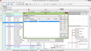 Celebrity Creating Powerful Filters in P6 Net Worth