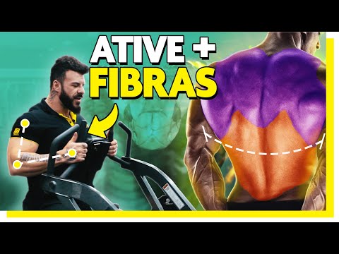 Isso que te IMPEDE de ter a DORSAL NAJA