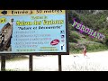 #60 SURPRISE POUR DOUDOU # Nomade van life# camping car#vautours
