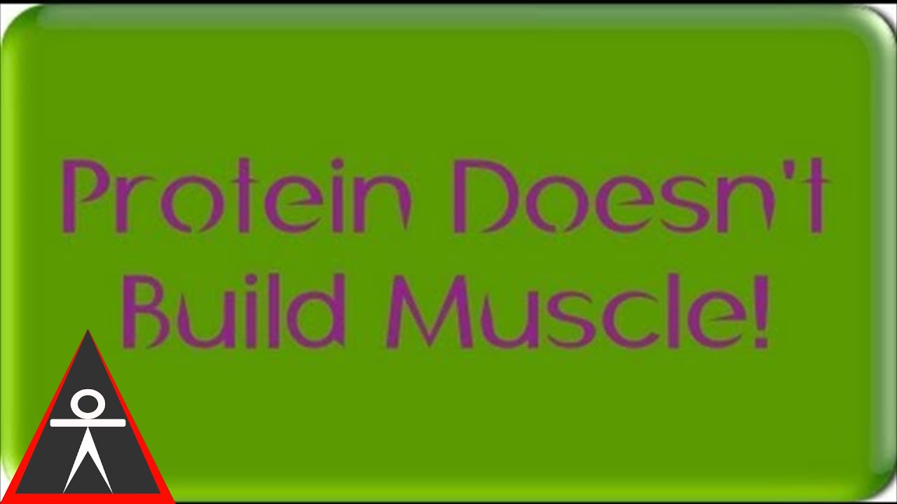 calisthenics workout program for beginners The Myth of Diet and Building Muscle