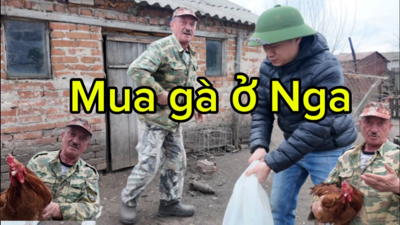 Đi về nông thôn Nga mua gà về giỗ tổ Hùng Vương!