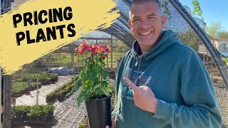 Pricing Plants in a Nursery // How we value our Nursery plants