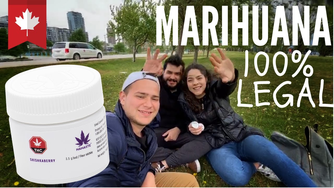 Comprando MARI JANE 🌿 en Montreal   CANNA BIS en Canadá weed