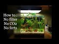 Setup : No Filter, No CO2, No Ferts Aquarium