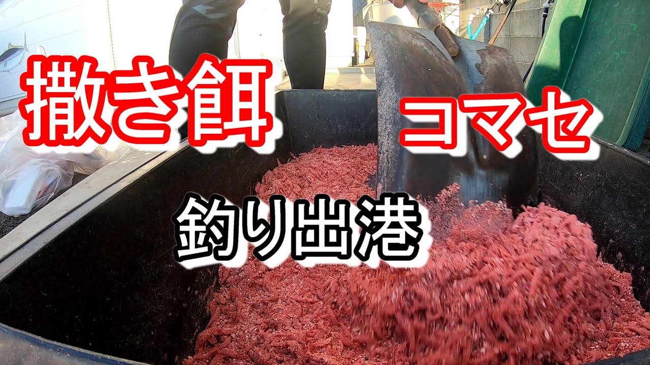 釣り撒き餌 コマセ そして出港 Youtube