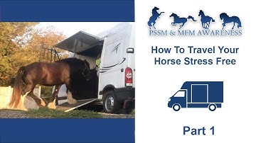 How To Travel Your Horse Stress Free- Part 1 (Why Horses Find Traveling Stressful)
