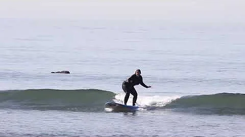 Private Surfing Lesson with Megan@Goff Tours