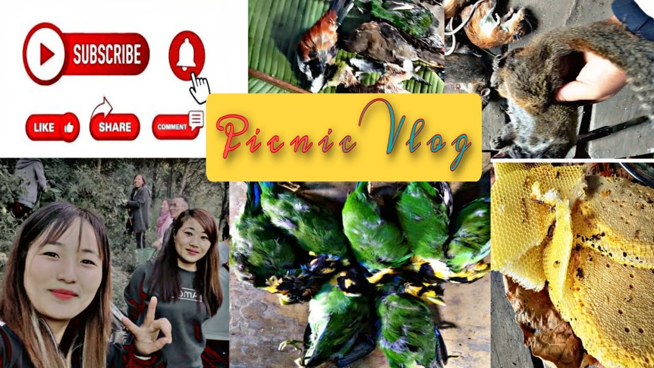 Day Out With Teaching Staff | Picnic vlog✨✌️😇