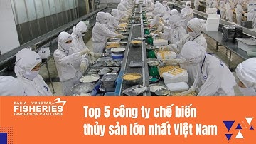 TOP 5 CÔNG TY CHẾ BIẾN THỦY SẢN LỚN NHẤT VIỆT NAM