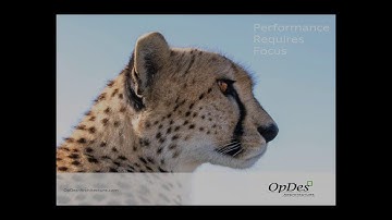 What is Sustainable Design? Its Advanced Architecture - "Bird Feather" by OpDes Architecture