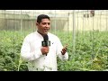 ياسين صبري مبدع صمم أول نظام من نوعه للزراعة في التربة البديلة والطماطم الشيري تنتج 120 طنا 