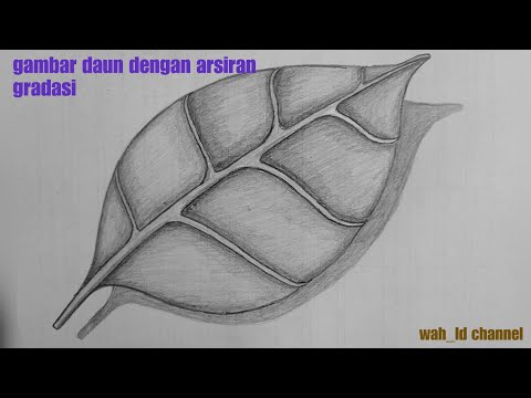 Video: Cara Menggambar Daun Dengan Pensil