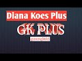 Dianakoes pluscover gk plus