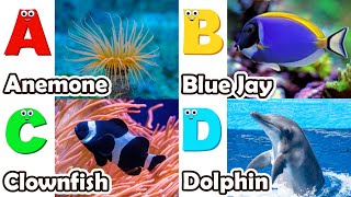 ABC phonics animals | ABC Sea Animals song | English and Animals for Kids | Alphabets Kids Song