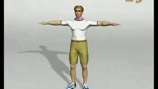 How do bees fly