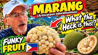 🇵🇭 What the Heck Is MARANG?! 😲 Trying This FUNKY/ SMELLY Filipino Fruit for the First Time! 😂 screenshot 5