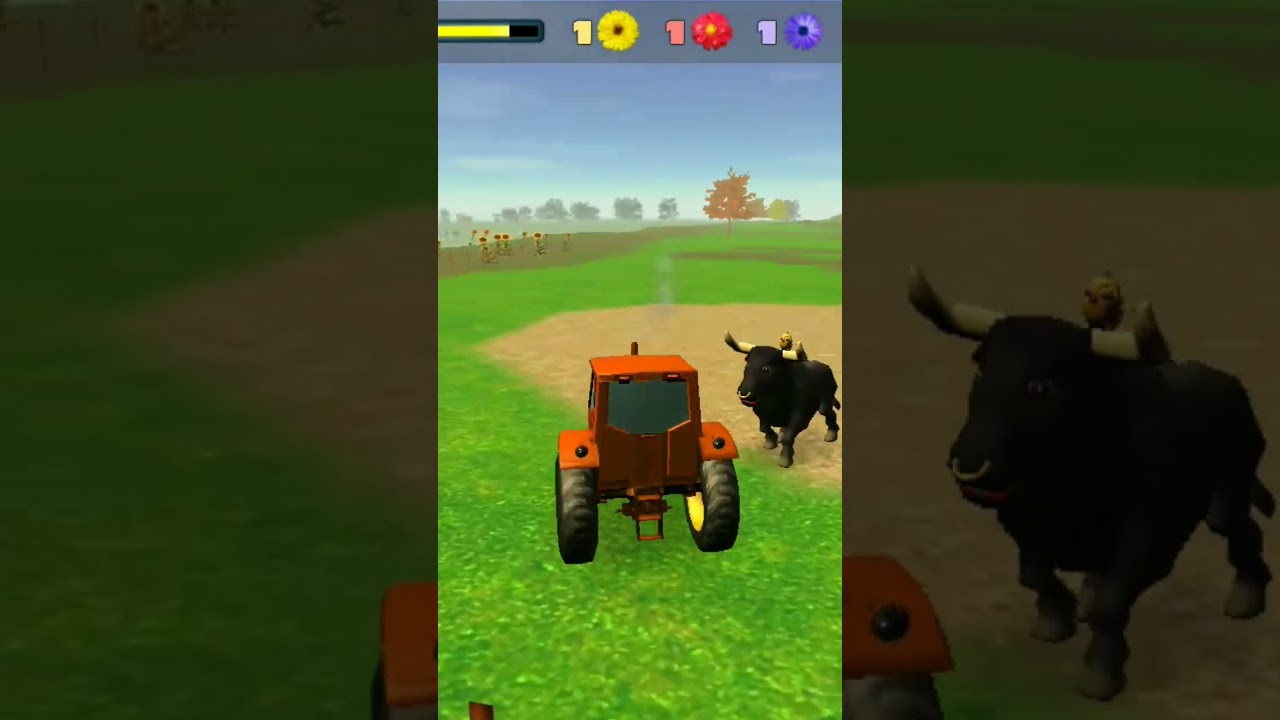 El Toro can el Pollito de le Granja siguiendo al tractor 