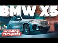 Самка или самец?/Новый BMW X5 M50D 2019 G05/Большой Тест Драйв