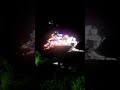 #live maa vaishnodevi 🥰🥰🥰