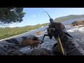 GANAS !! MINNOW HAMPIR DITELAN | casting ultralight | fishing