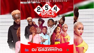 254 SPICE MIXTAPE VOL 3 FULL KENYAN VIBES BY DJ GAZAKING #MRSHALLWE