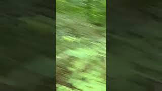 문경새재마당바위 펜션 영상