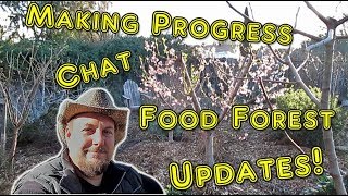 A Typical Day In A Backyard Food Forest Plant Abundance Late Winter Edition