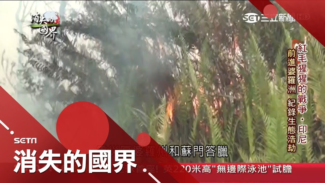 人類引發生態浩劫!傳統火耕釀森林火災