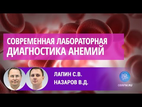 Лапин С.В., Назаров В.Д.: Современная лабораторная диагностика анемий