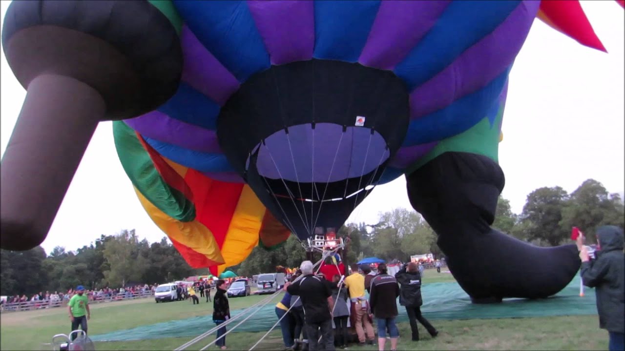 Wairarapa Balloon Fiesta 2015 YouTube