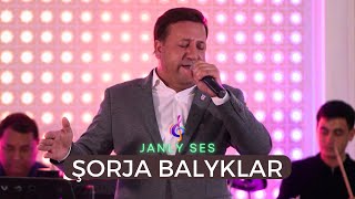 Caryar Orazdurdyyew - Sorja Balyklar | Turkmen aydymlary 2023 | Janly Sesim Resimi