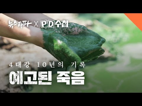 <strong>4대강</strong> 10년의 기록, 예고된 죽음 - 뉴스타파 X PD수첩