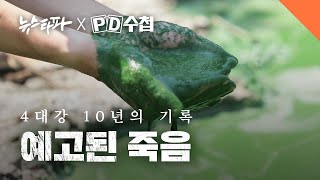 4대강 10년의 기록, 예고된 죽음 - 뉴스타파 X PD수첩