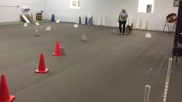 Nell Jenkins and Mish- Intermediate Rally 10/25/20